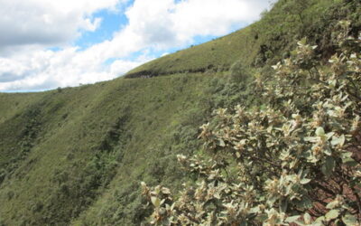 Mineração ameaça águas na Serra da Gandarela