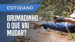 Brumadinho um mês depois | Não há garantias sobre segurança de barragens