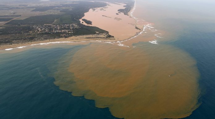 Estudo revela efeitos duradouros da ruptura de barragem no rio Doce