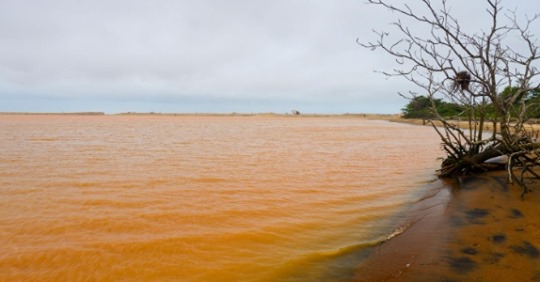 Há 4 anos, Vale ignora 2.000 pessoas afetadas pelo desastre de Mariana