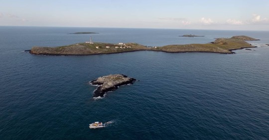 Estudo aponta lama de rompimento de barragem de Mariana em Abrolhos