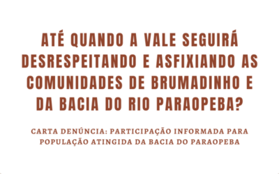 Carta denúncia: Participação informada para a população atingida da Bacia do Paraopeba – MG