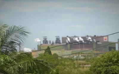 Desinvestimento da Vale e atuação da Ternium reforçam violação de direitos