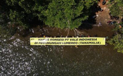 Assembleia de acionistas da Vale: violência contra comunidades impactadas por mina na Indonésia